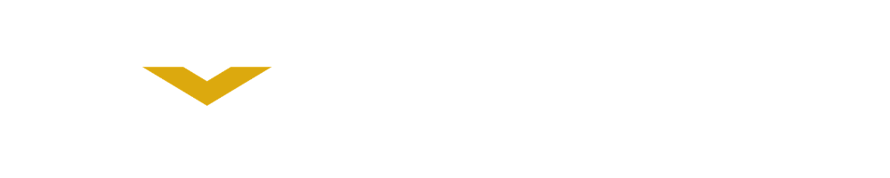 Valiant Dynamics